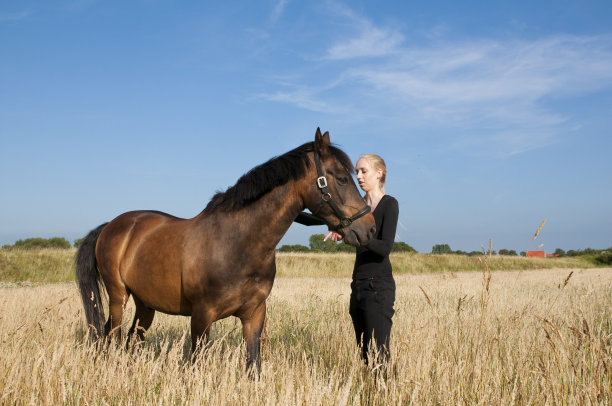 女人与马图片下载