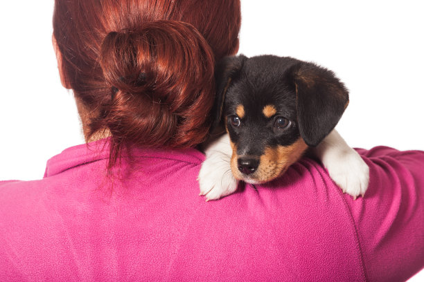 年轻女子与小狗玩耍图片下载