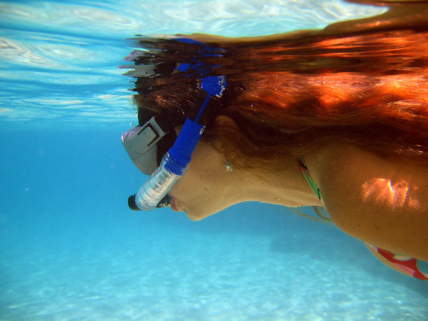 在天堂般的海滩上潜水图片下载