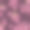 樱花无缝花朵图案。图片下载