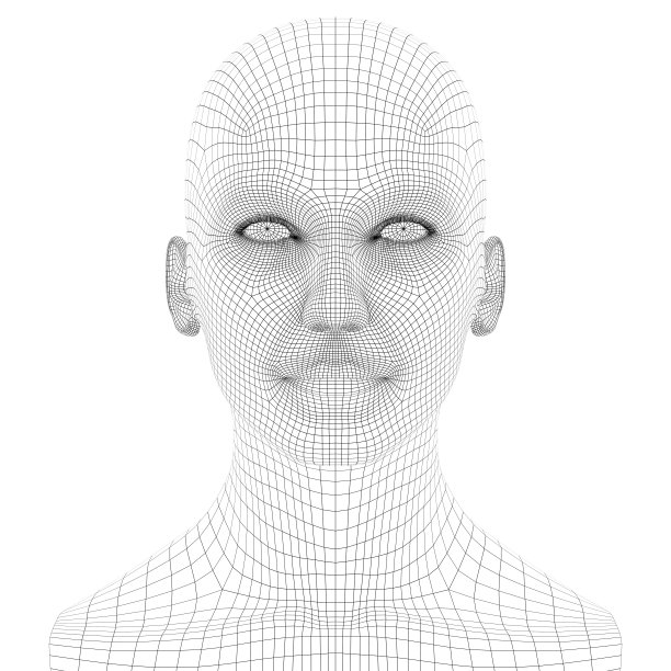一个3D头部在线框架上的白色背景图片下载