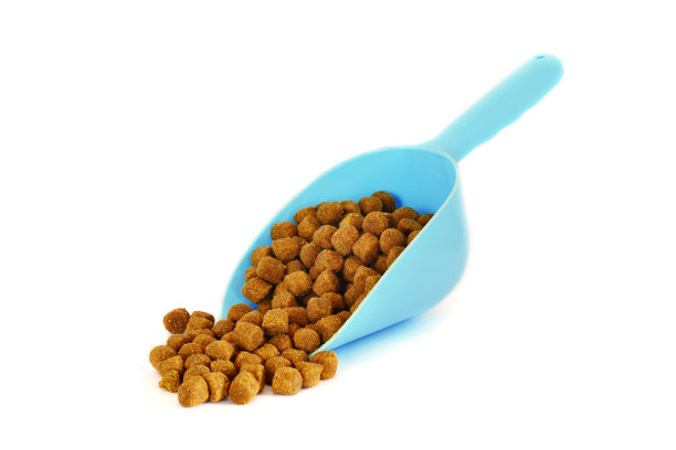 勺子里的宠物食品图片下载