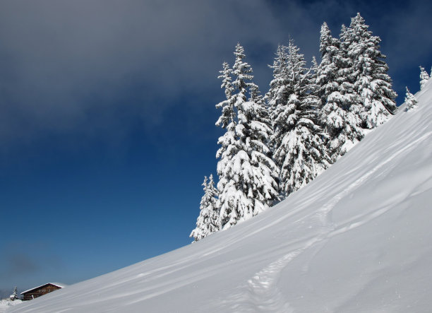 白雪覆盖的树木和Wispile Berghaus图片下载