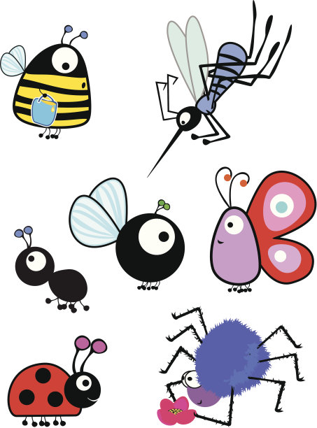 昆虫组图片下载