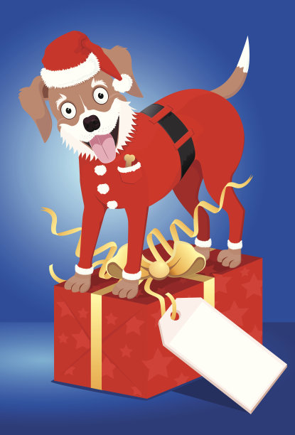 快乐的狗狗装扮成圣诞老人站在礼物上图片下载