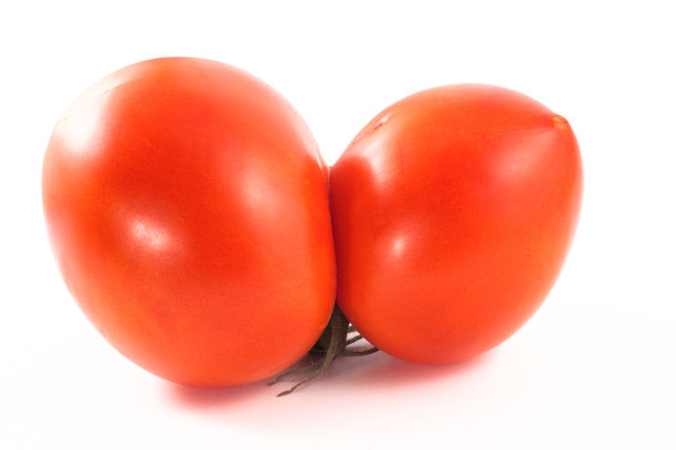 丑陋的番茄图片下载