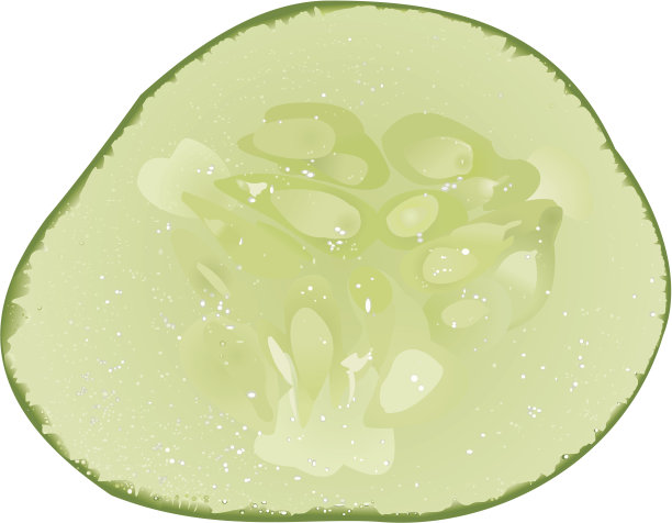 黄瓜片图片下载