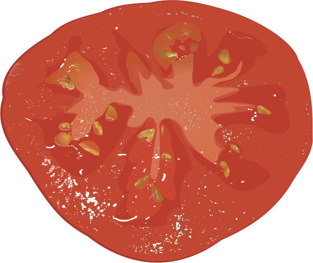 番茄片图片下载