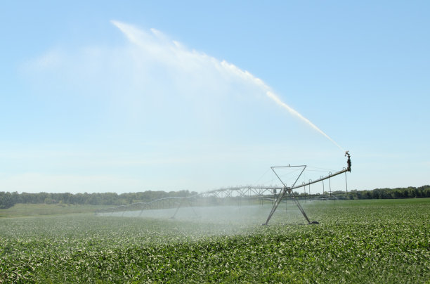 作物的灌溉图片下载