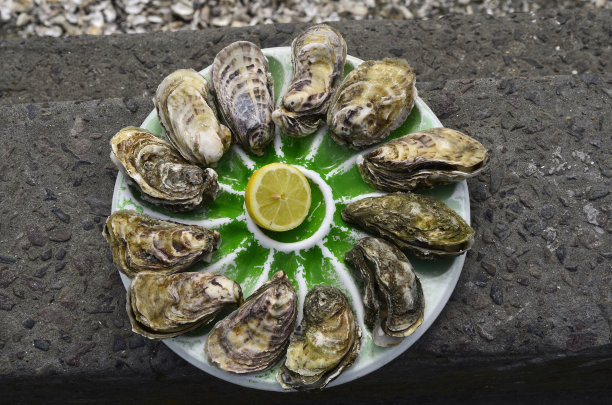 法国、牡蛎图片下载