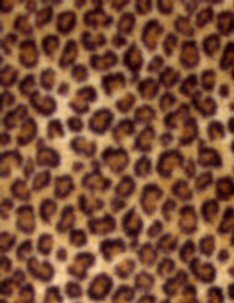 豹纹图案图片下载