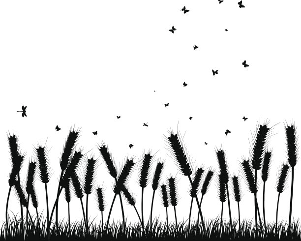 小麦与蝴蝶图片下载