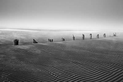 雾蒙蒙的海滩图片下载