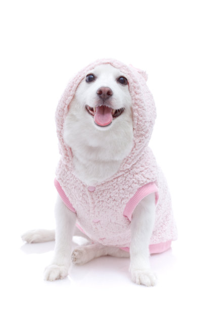 斯帕斯图片下载