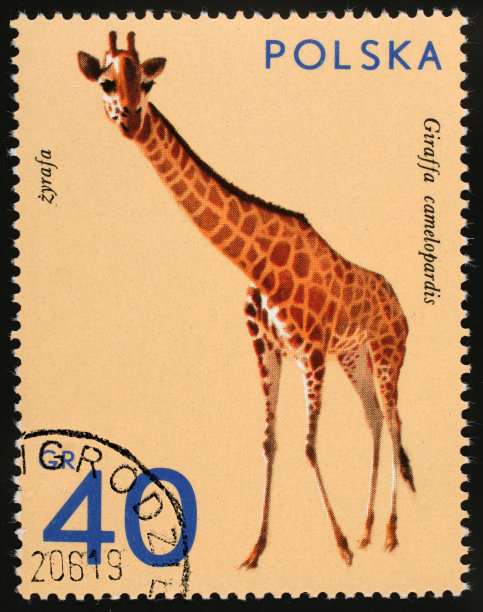 长颈鹿波兰邮票图片下载