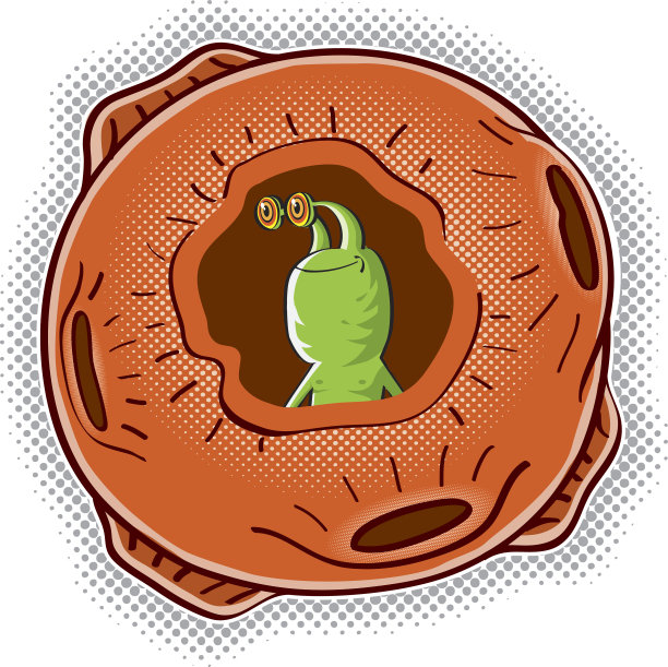 外星人在家里图片下载