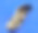 鞋子…(1)图片下载