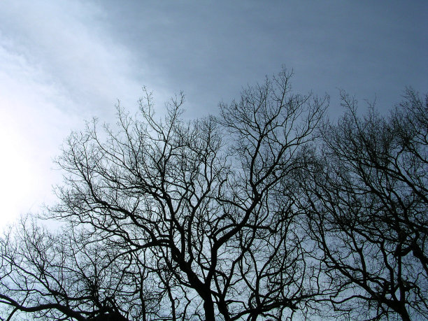 冬天的分形图片下载