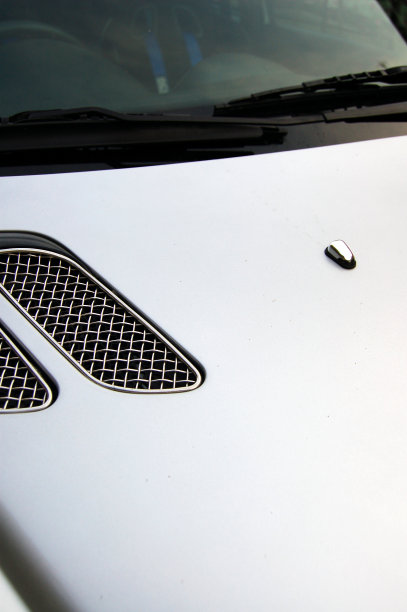 银帽子图片下载