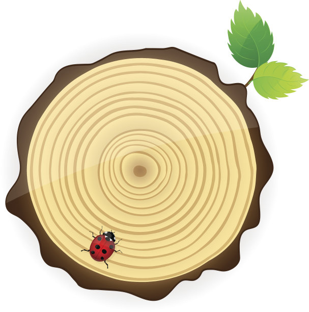 显示年轮的树干横截面。图片下载