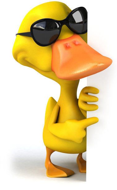 有趣的鸭子图片下载