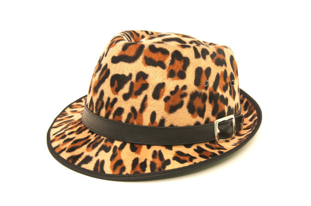 豹纹图案的帽子。图片下载