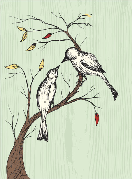 爱情鸟图片下载