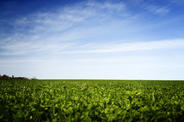 场在春天图片下载