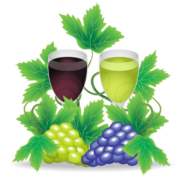 一杯红葡萄和一杯白葡萄图片下载