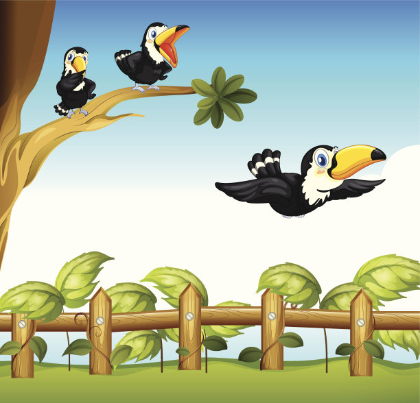 三只鸟图片下载