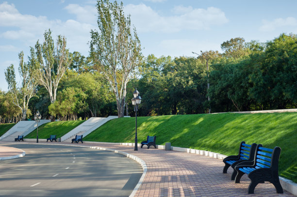 夏天的城市公园图片下载