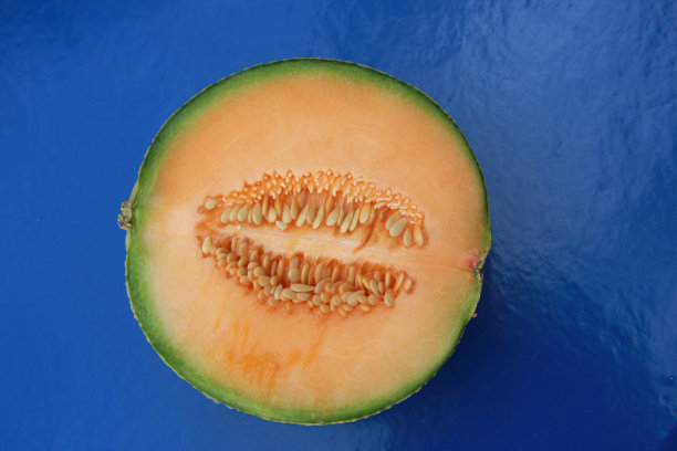 瓜在蓝色的图片下载