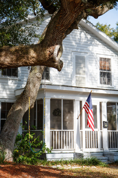 老白宫上的美国国旗图片下载