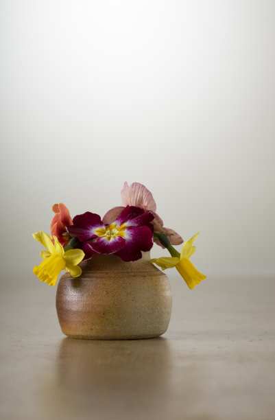 春花垂直图片下载