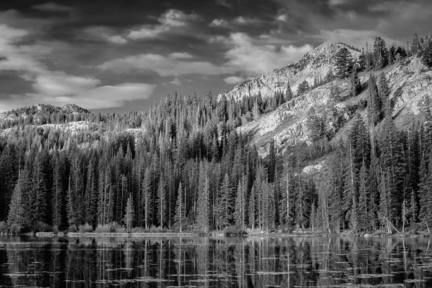 日出银图片下载