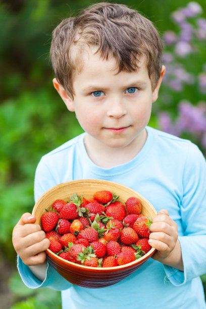 5岁男孩和新鲜草莓图片下载