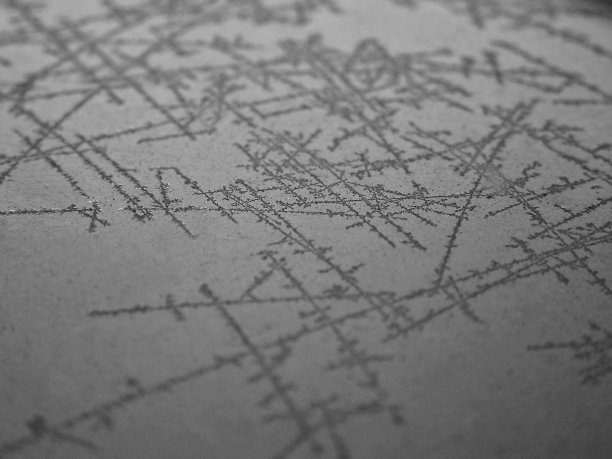 寒冷的早晨。图片下载