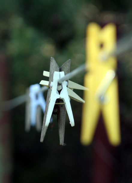 木衣夹图片下载