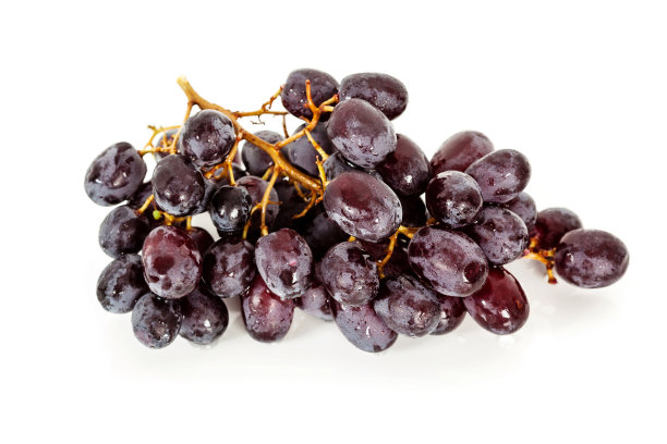 孤立的黑葡萄串图片下载