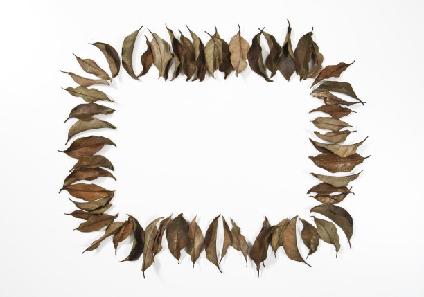 叶框架图片下载