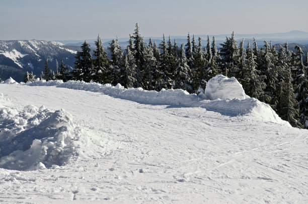 滑雪道和森林森林滑雪胜地胡德山俄勒冈图片下载