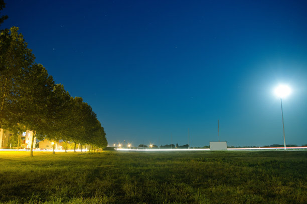 晚上路边有树图片下载