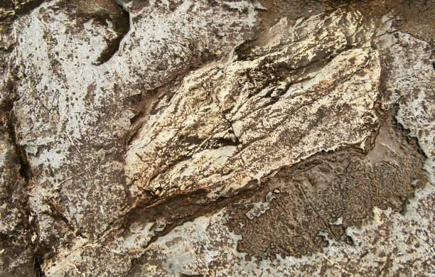 岩石纹理图片下载