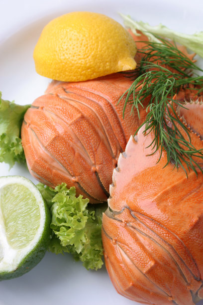 一对Balmain Bugs -海鲜开胃菜图片下载