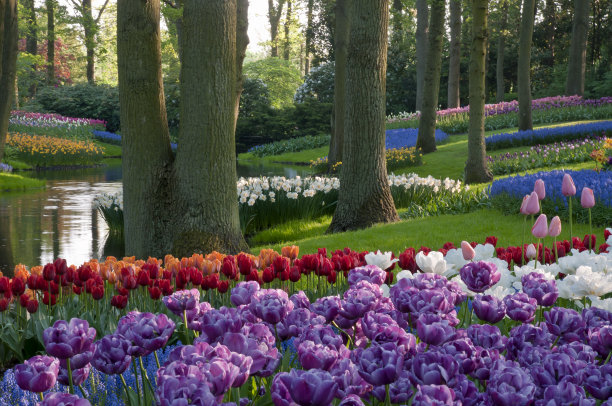 公园里的春花图片下载