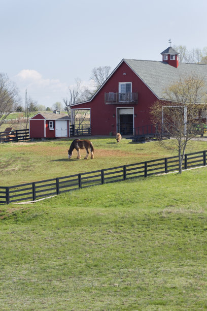 畜棚里有克莱德斯代尔和驴子图片下载