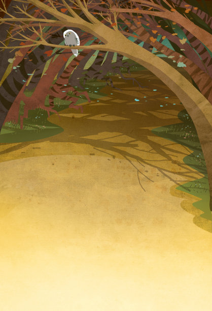 在森林图片下载