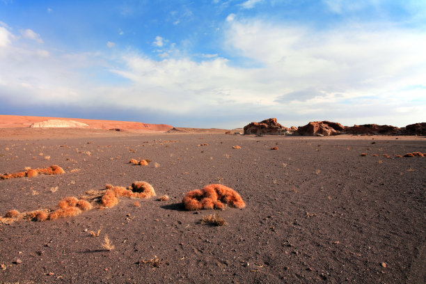 耐心平原——智利阿塔卡马图片下载