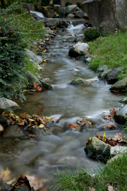 花园里的瀑布图片下载