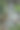 花园里的瀑布图片下载